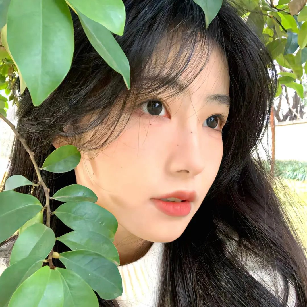 独占接班人 封面